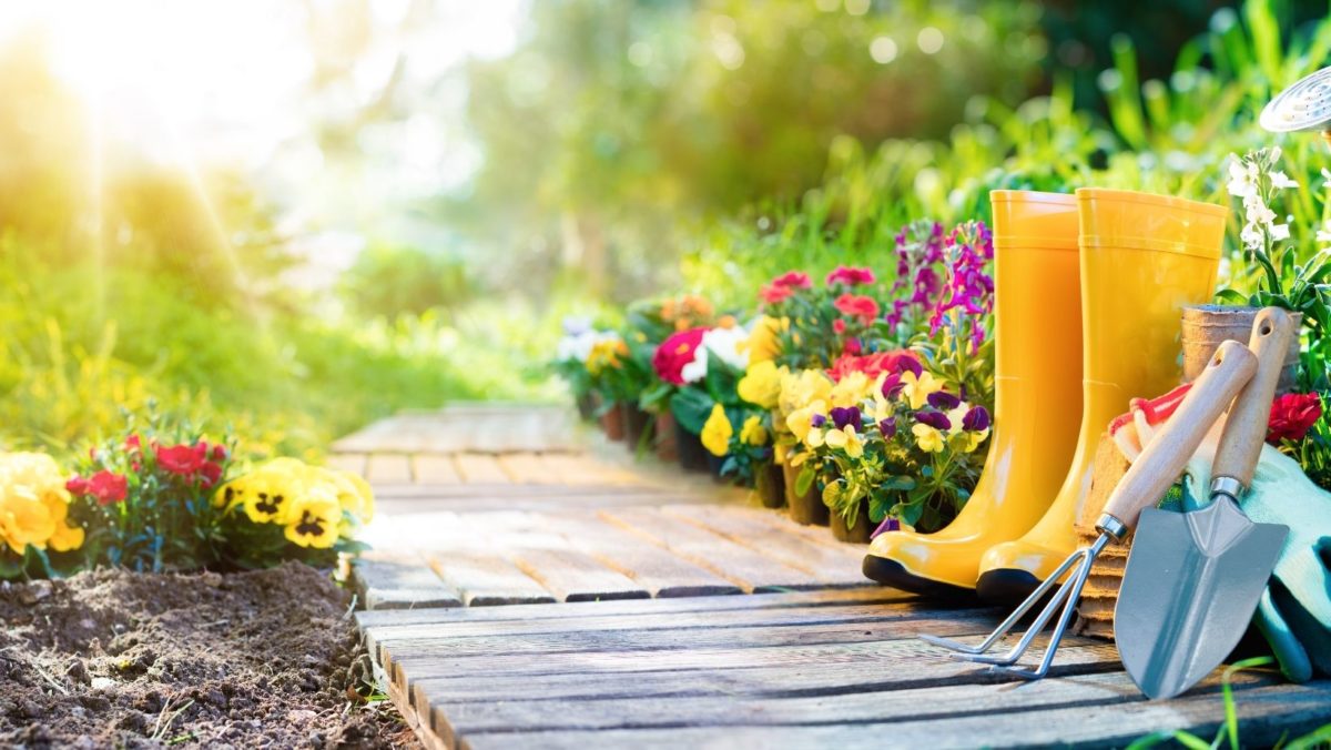 8 Benefits of Growing a Garden at Home (and Why It's Never Too Late to Start)