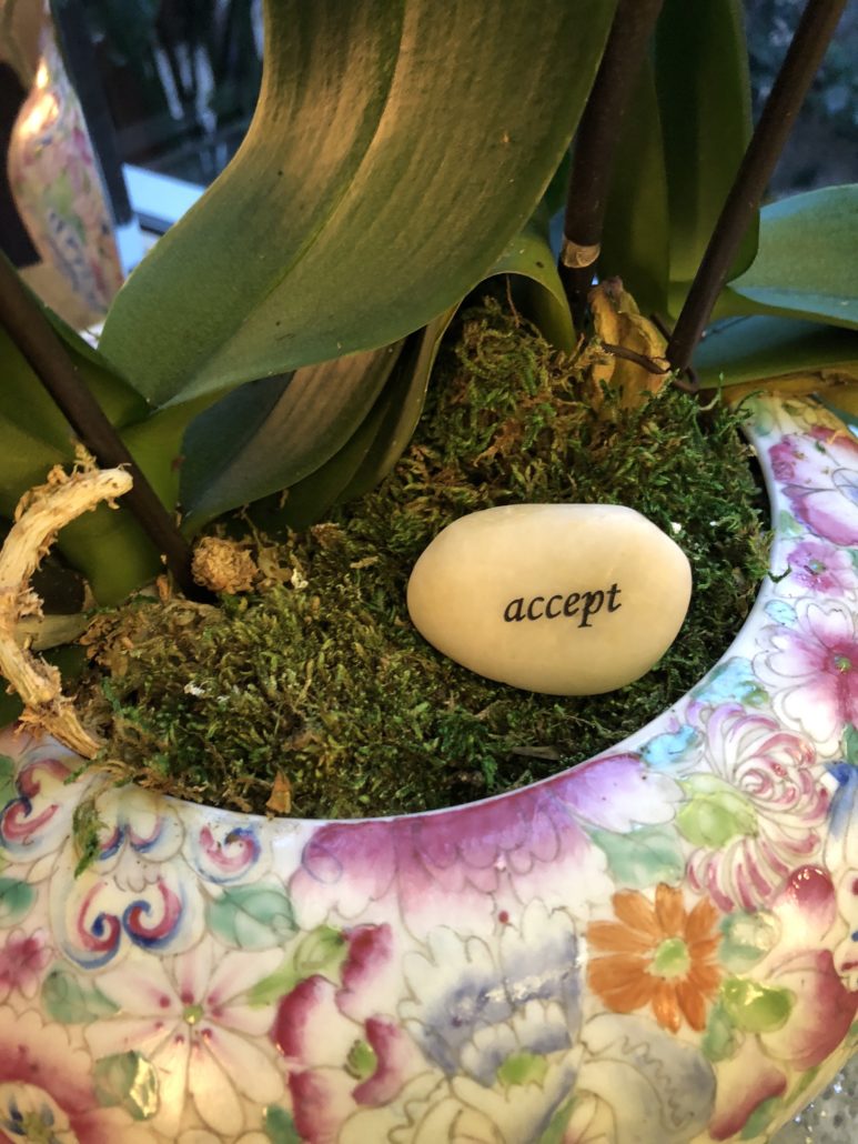 rock with the word "ACCEPT" on it, learning to accept parental and grandparental estrangement