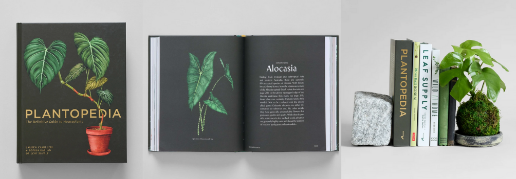 Coffee table book; Plantopedia