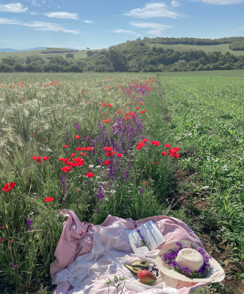 a picnic outside on an open field is a fun way to have fun with your grandchildren