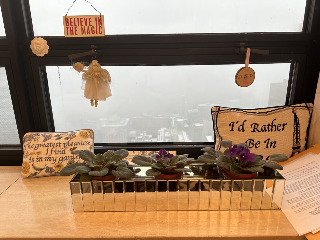 image of a window overlooking a foggy city with a fairy hung in the window, 2 decorative pillows and 3 succulents on the ledge.