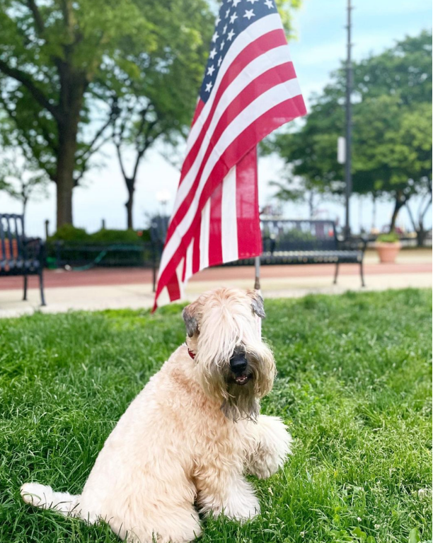 an image of America in front of the American flag